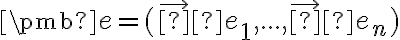  \pmb {e = (\vec e_1, . . . , \vec e_n)} 