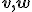 \small \mathbf {v},\mathbf {w}