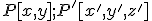 \small P[x, y];P'[x', y',z']
