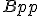 \small Bpp 