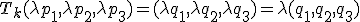  \small T_k(\lambda p_1, \lambda p_2, \lambda p_3) =( \lambda q_1, \lambda q_2, \lambda q_3)=\lambda (q_1, q_2, q_3) 