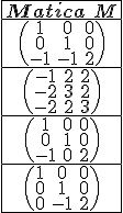  \small \begin{array}{|c|c|c|c|} \hline \textbf{Matica } M \\ \hline \begin{pmatrix} 1 & 0 & 0\\ 0 & 1 & 0\\ -1 & -1 & 2 \end{pmatrix} \\ \hline \begin{pmatrix} -1 & 2 & 2\\ -2 & 3 & 2\\ -2 & 2 & 3 \end{pmatrix} \\ \hline \begin{pmatrix} 1 & 0 & 0\\ 0 & 1 & 0\\ -1 & 0 & 2 \end{pmatrix} \\ \hline \begin{pmatrix} 1 & 0 & 0\\ 0 & 1 & 0\\ 0 & -1 & 2 \end{pmatrix} \\ \hline \end{array} 