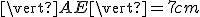 \small \vert AE\vert = 7 cm 