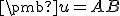\small \pmb u=AB 