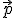 \small \vec p