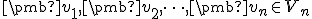 \small \pmb {v}_1, \pmb {v}_2, \dots, \pmb {v}_n \in V_n 