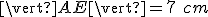  \small \vert AE\vert = 7\ cm 