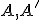 \small A,A'