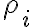  \rho_i 