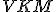 \small VKM