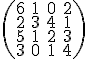  \small \left(\begin{matrix}
6 & 1 & 0 & 2 \\
2 & 3 & 4 & 1 \\
5 & 1 & 2 & 3 \\
3 & 0 & 1 & 4
\end{matrix}\right)