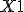 \small X1