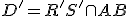 \small D' = R'S' \cap AB
