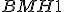\small BMH1