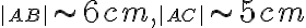 \left| \small AB \right| \sim 6 cm, \left| \small AC \right|\sim 5 cm 