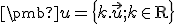 \small \pmb u = \left\{ k . \vec u; k \in \mathrm R \right\}