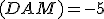 \small (DAM )=-5