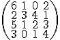  \small \left(\begin{matrix} 6 & 1 & 0 & 2 \\ 2 & 3 & 4 & 1 \\ 5 & 1 & 2 & 3 \\ 3 & 0 & 1 & 4 \end{matrix}\right)