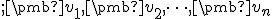 \small ;\pmb {v}_1, \pmb {v}_2, \dots,\pmb {v}_n