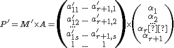 \small P'=M' \times A =\left(\begin{array}{ccc} 
     a'_{11}&...&a'_{{r+1},1} \\ a'_{12}&...&a'_{{r+1},2} \\ ... \\ a'_{1{s}}&...&a'_{{r+1},s}\\1&...&1 \end{array}\right)

  \times 

  \left(\begin{array}{ccc}  
   \alpha_1 \\ \alpha_2\\ 
  ...
  \\\alpha_r \\\alpha_{r+1} \end{array}\right) 