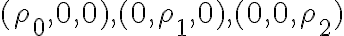  (\rho_0,0,0), (0,\rho_1,0), (0,0,\rho_2) 