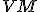 \small VM