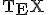 \small \TeX 